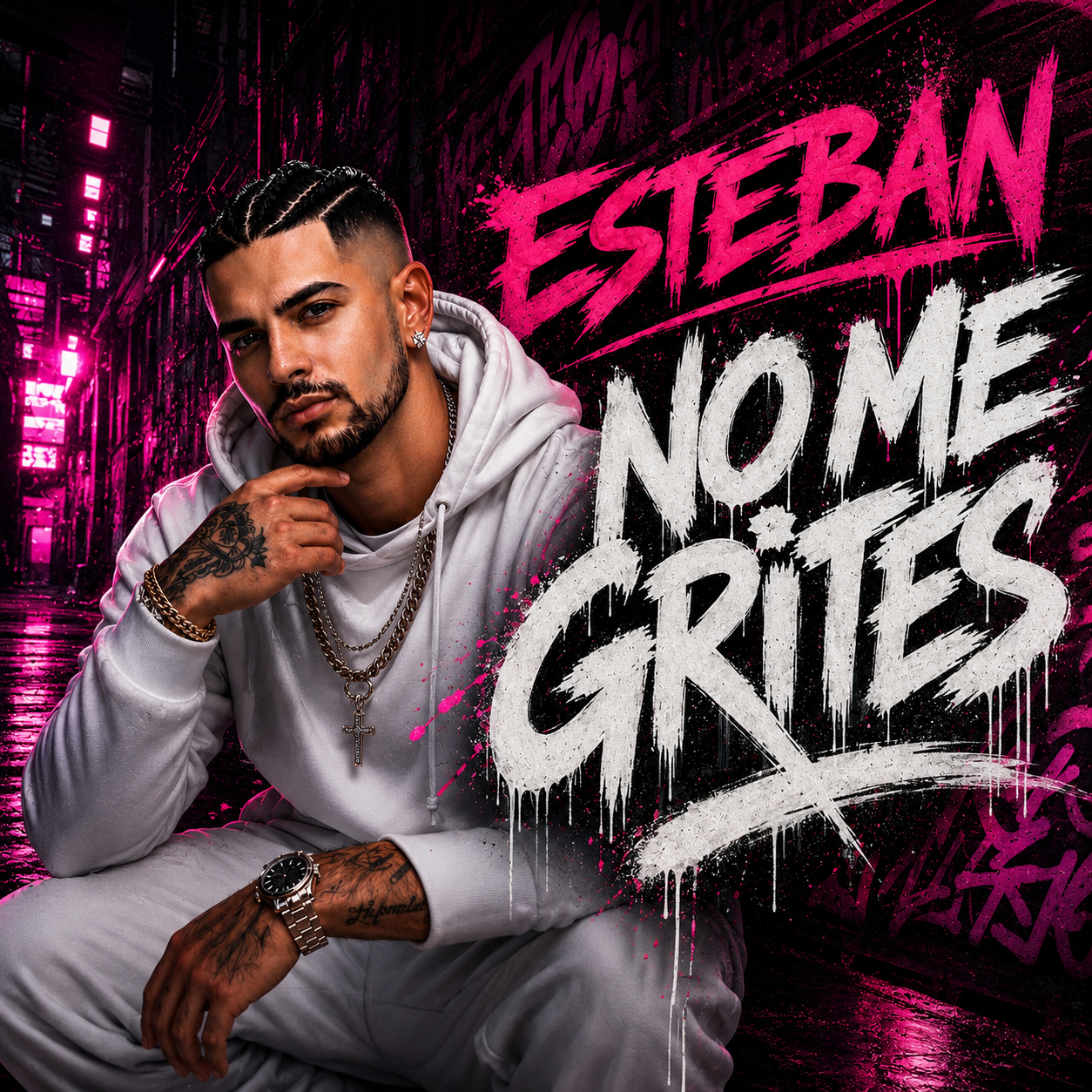 No Me Grites - pochette